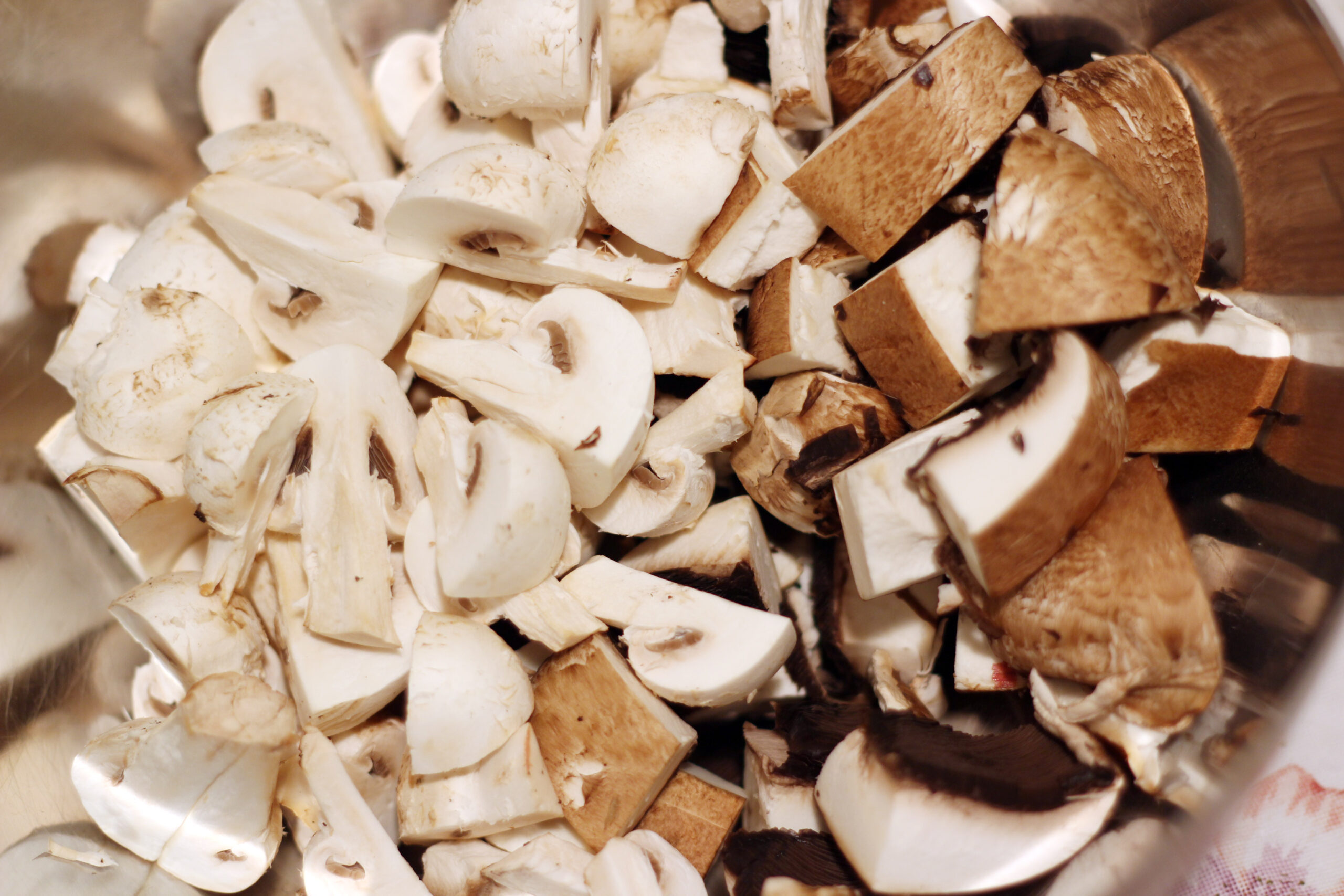 mushroom salad with pecan