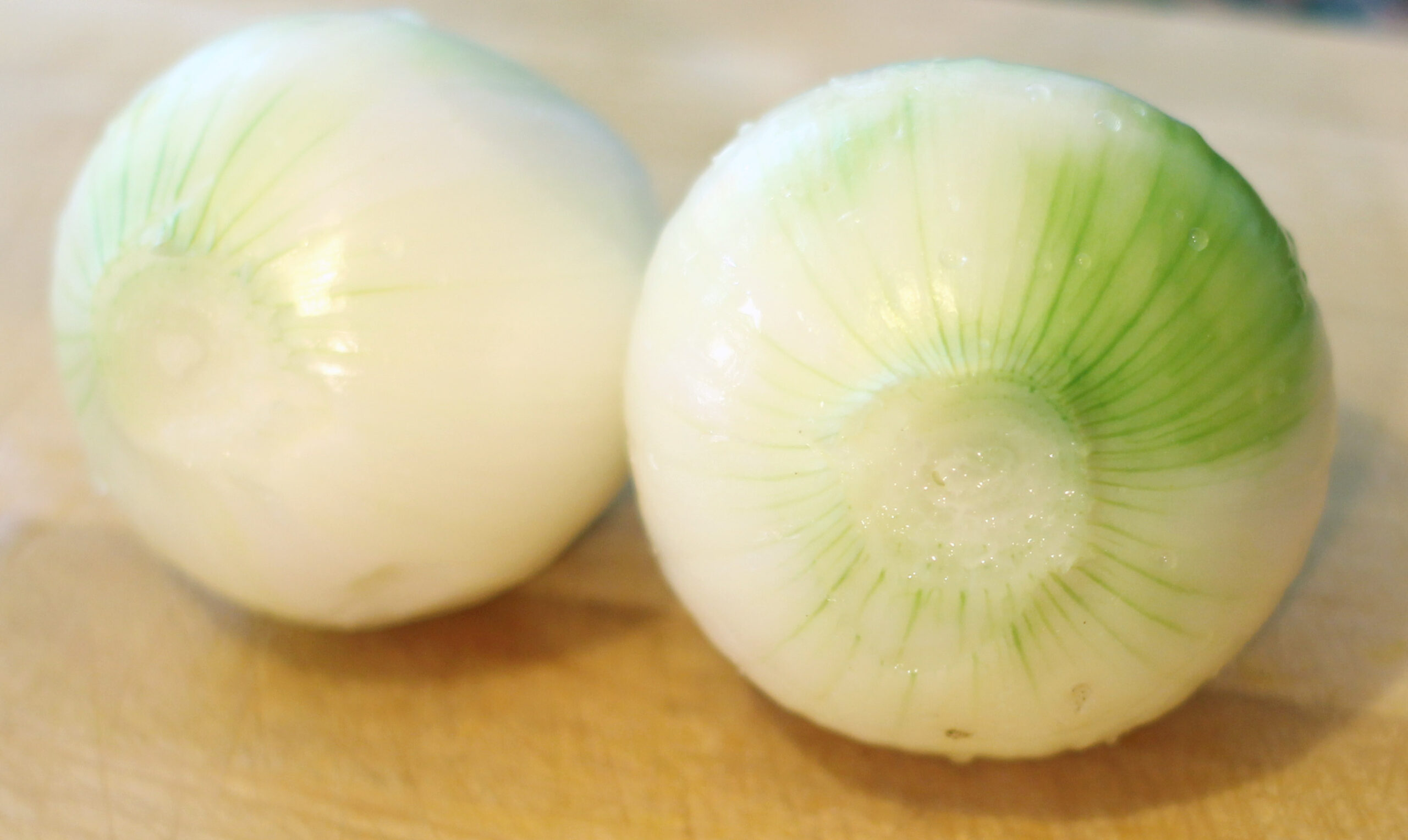 food2-045