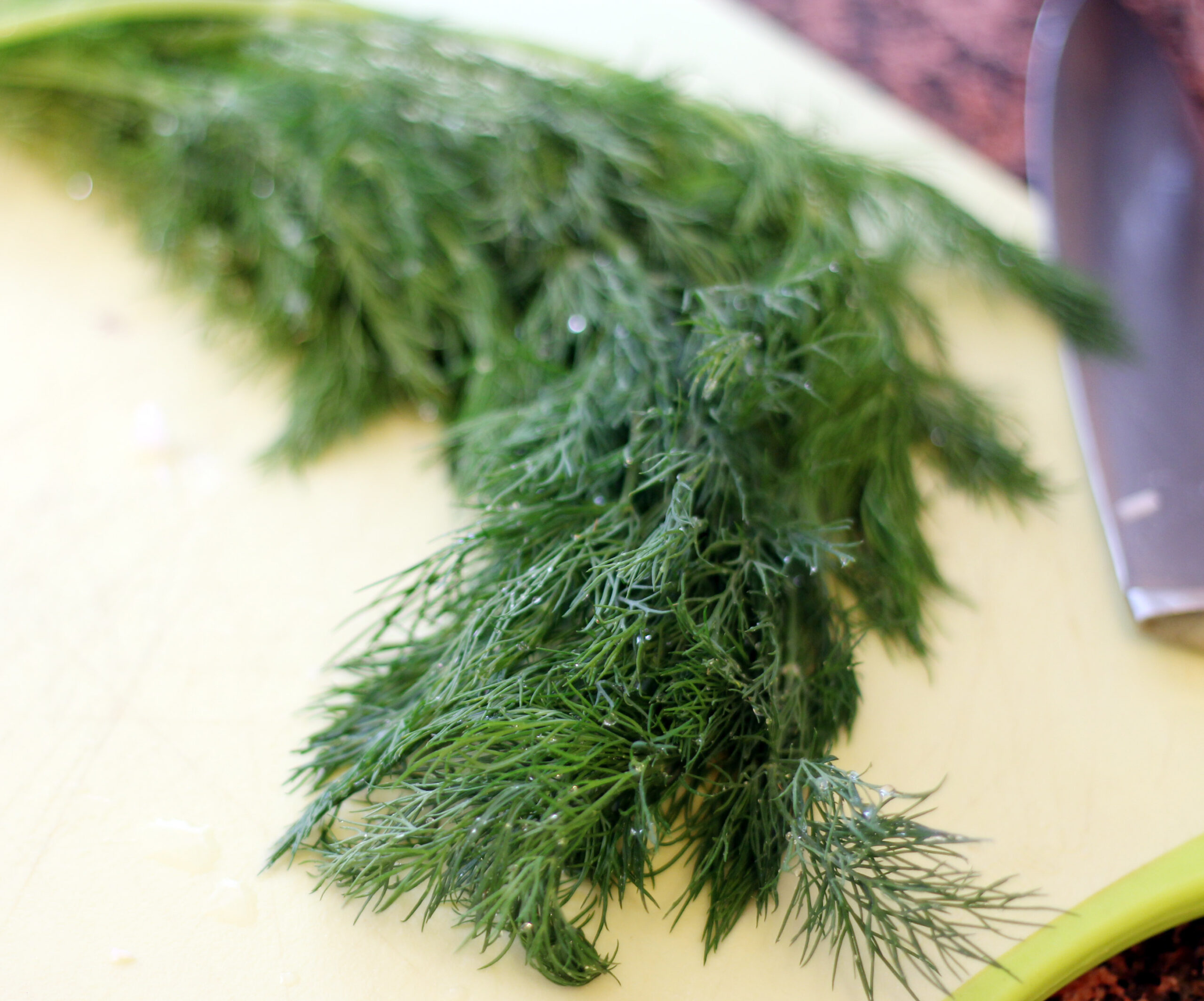 food2-067
