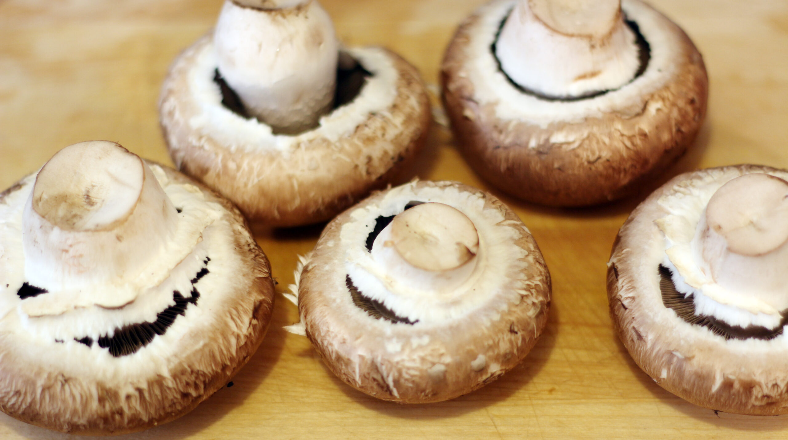 food2-086