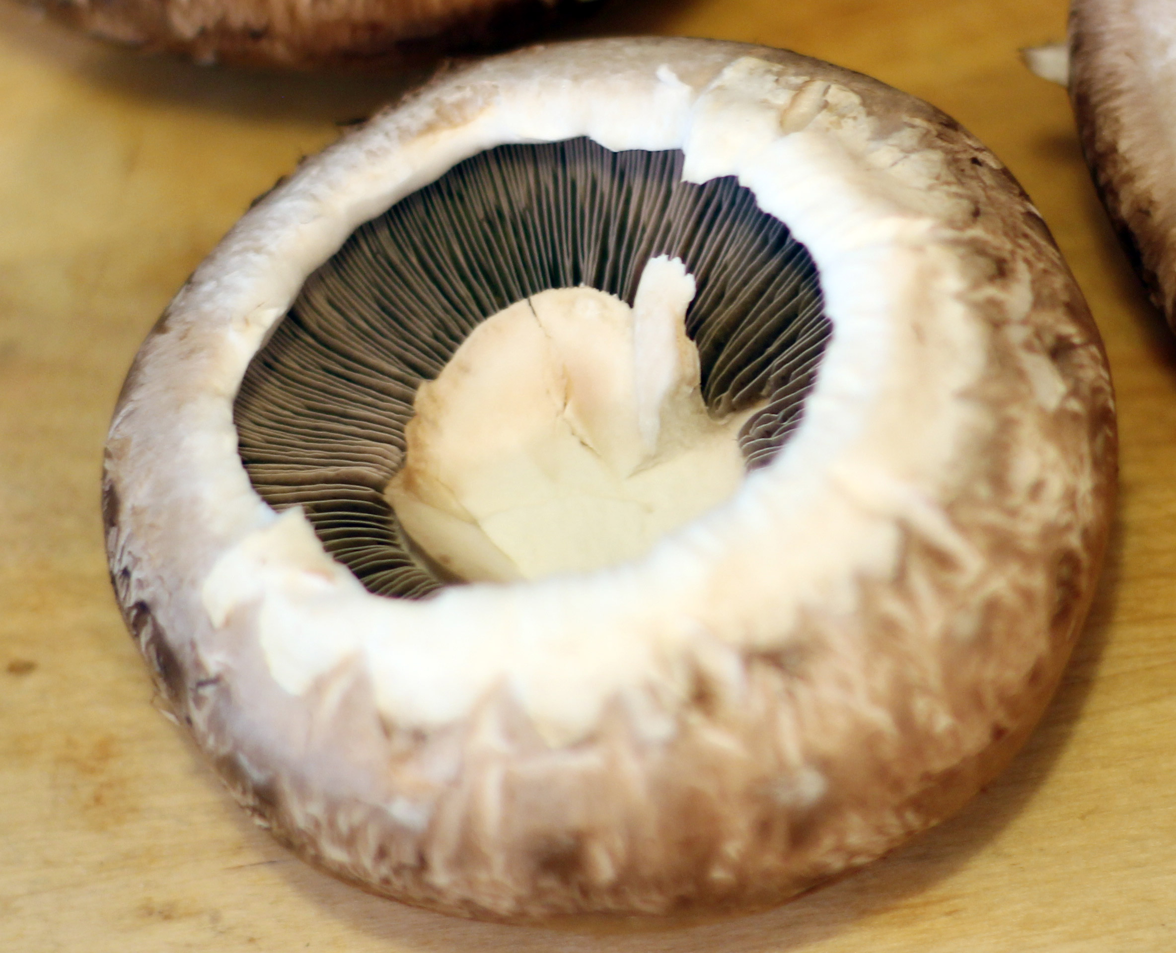 food2-088