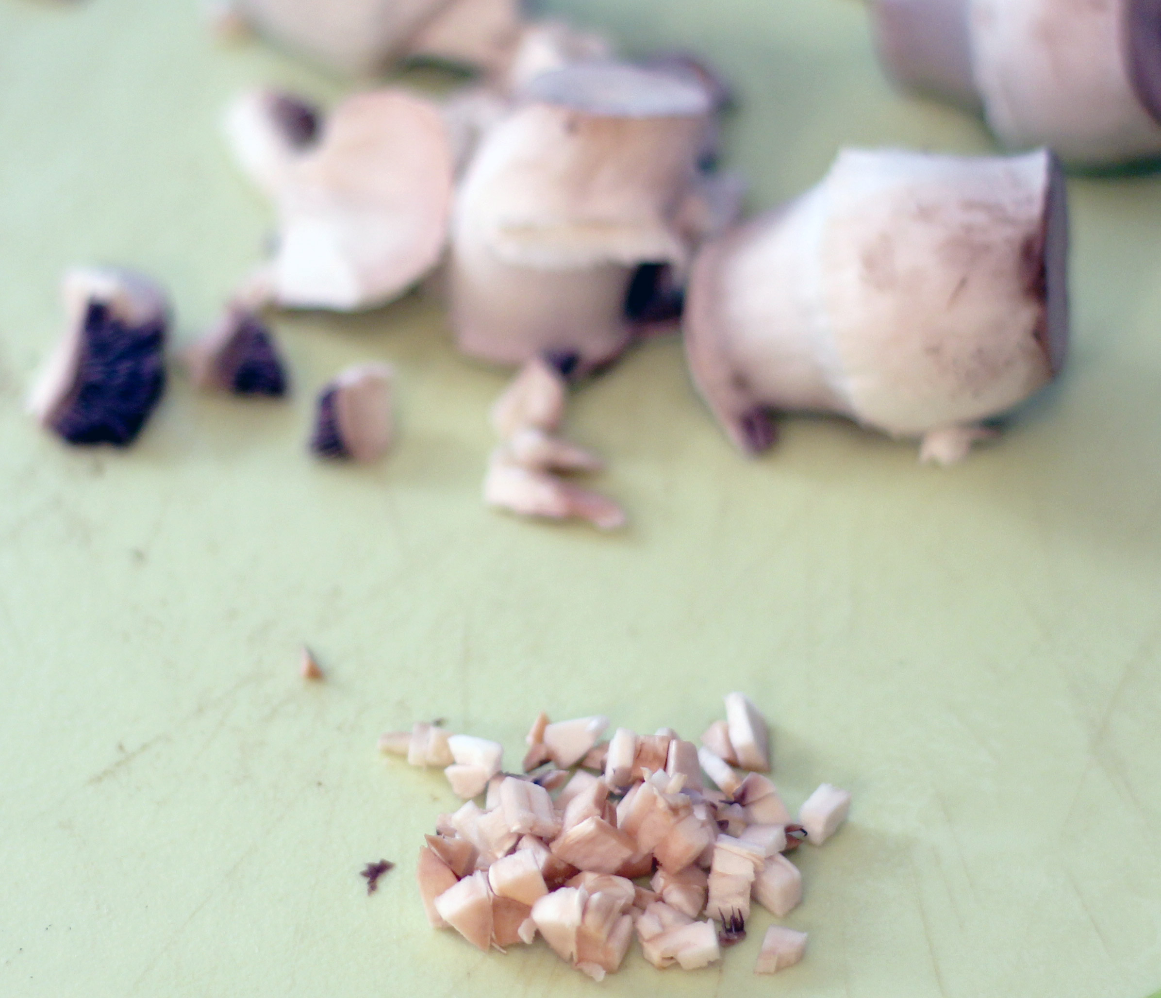 food2-095