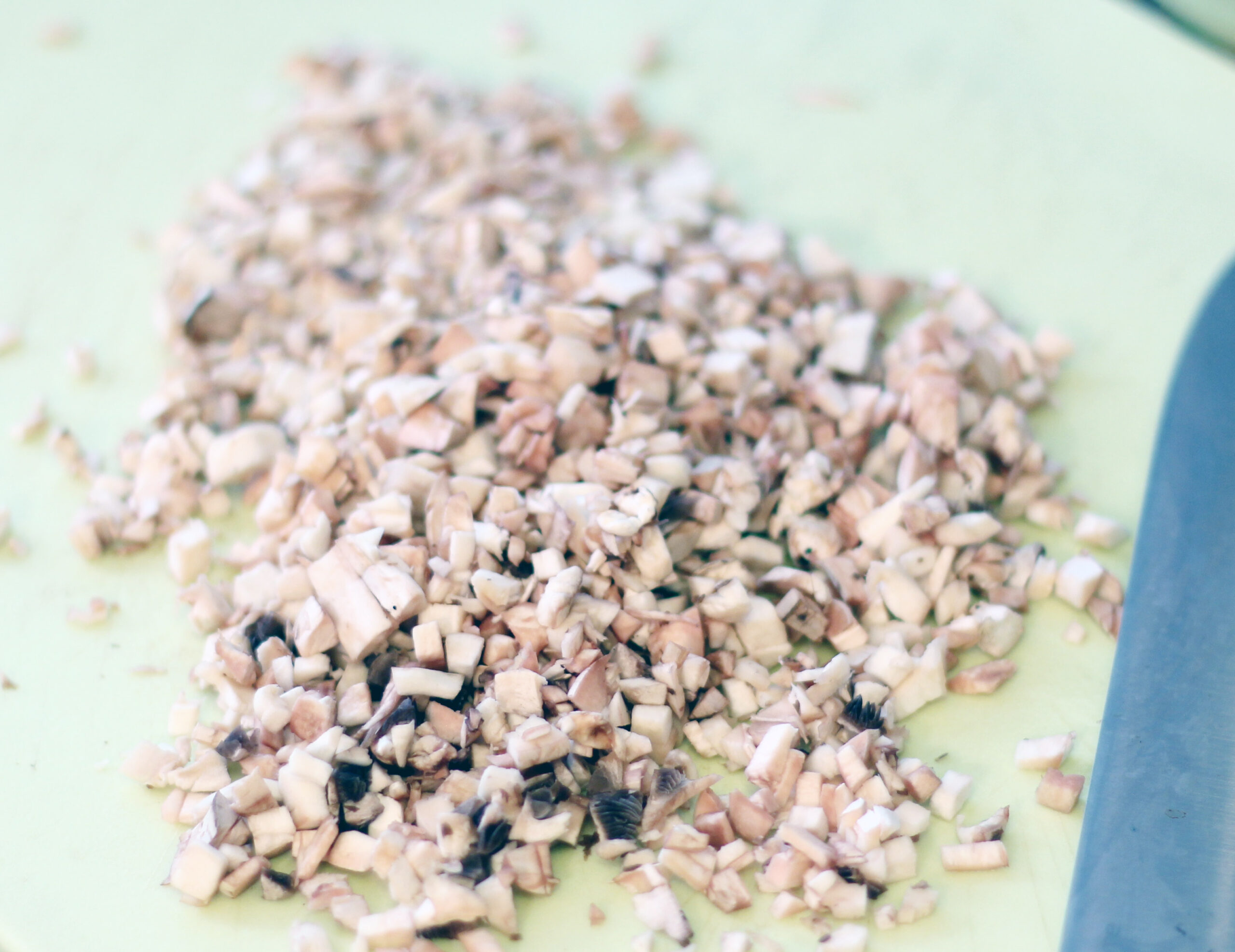food2-097